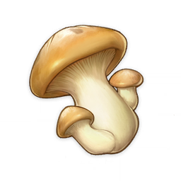 Mushroom