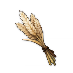 Wheat