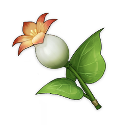 Calla Lily