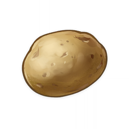 Potato