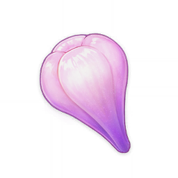 Amakumo Fruit