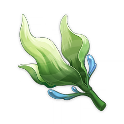 Seagrass