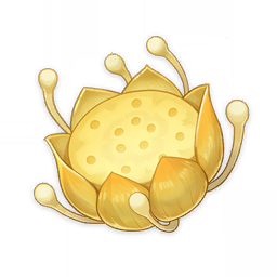 Nilotpala Lotus