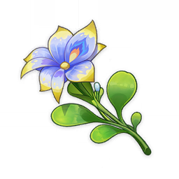 Pluie Lotus