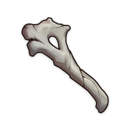 Fragile Bone Shard