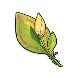 A Flower Yet to Bloom