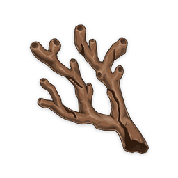 Coral Branch of a Distant Sea